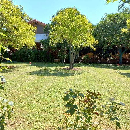 Bahce Villa Çıralı Exterior foto